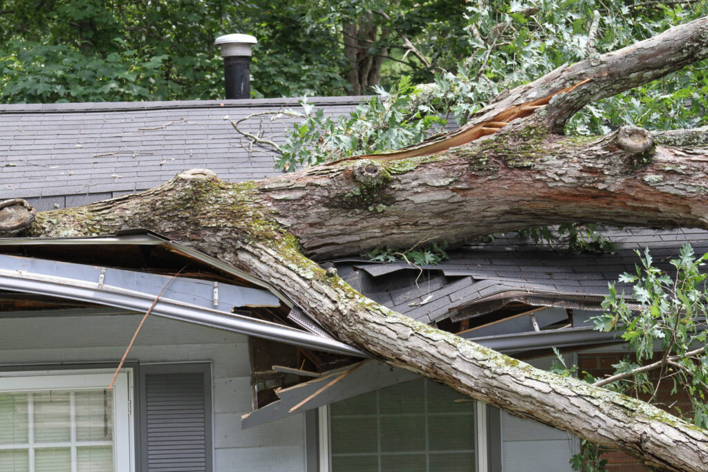 Learn what landlord insurance covers in cases of weather damage. California tree fell on rental property roof from storm.